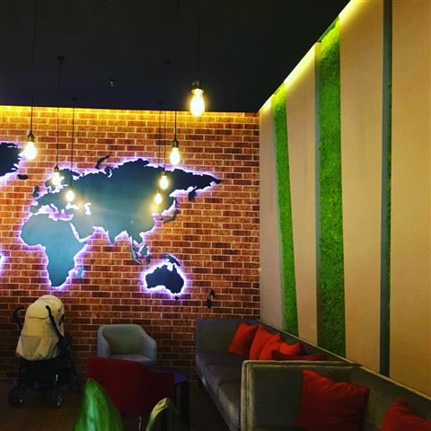 Perete de licheni stabilizați – GJC Sun Plaza, foto 18 din 19